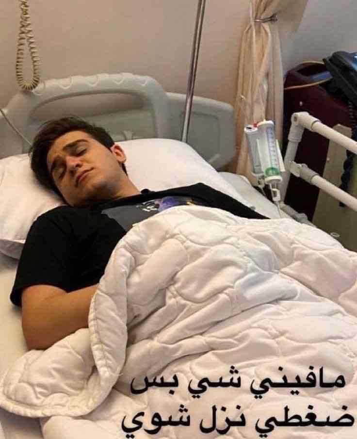ملكة البرنامج