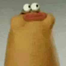 المبرمج ابو البوتات🦆